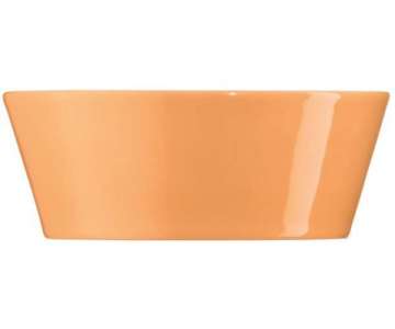 TRIC/orange Schale konisch 15cm