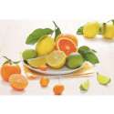 Citrus Fruit Tablett 44.5x31 cm