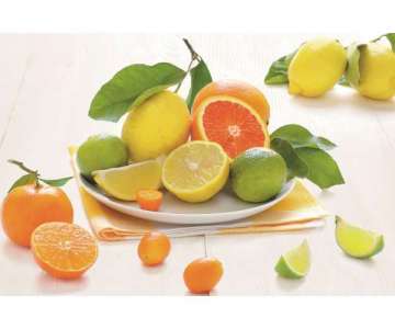 Citrus Fruit Tablett 44.5x31 cm