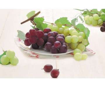 Grapes Tablett m. Griffen 40x27 cm