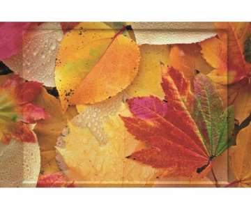 Red Leaves Tablett 40x19 cm