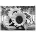 Retro Tournesol Tablett m. Griffen 45x31 cm