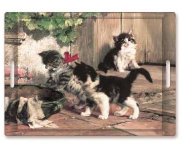 Kitties Meeting Tablett m. Griffen 45x31 cm