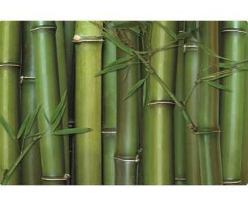 Bamboo Tablett m. Griffen 40x27 cm