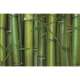 Bamboo Tablett m. Griffen 40x27 cm