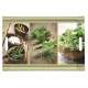 Kitchen Herbs Tablett m. Griffen 49x34cm