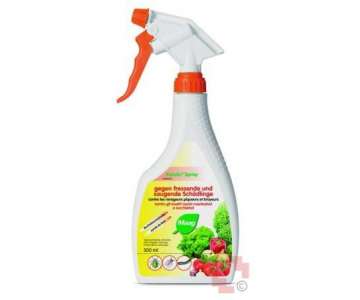 Maag Kendo Spray 500ml