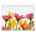Emsa Tablett Summerflowers 40x31cm