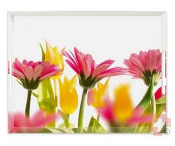 Emsa Tablett Summerflowers 40x31cm