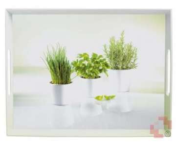 Emsa Tablett Herbs 40x31cm