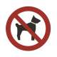 Schild HUNDEVERBOT 10 cm