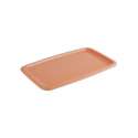 GN 1/1 Tablett Tierra 53x32.5cm, Farbe: Terracotta