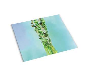 Glasschneideplatte Spargel (Wasserfarbe), 30x30 cm