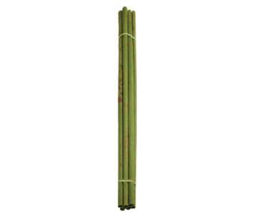 Bamboo & Deco Papyrus 6er Bund L: 100 cm