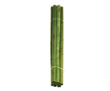 Bamboo & Deco Papyrus 6er Bund L: 60 cm