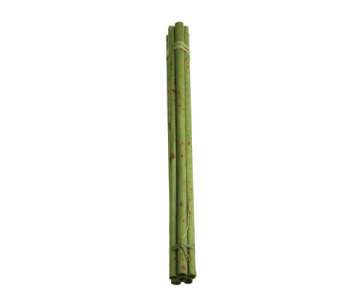 Bamboo & Deco Papyrus 6er Bund L: 80 cm