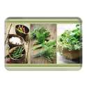 Kitchen Herbs Tablett 21x15 cm